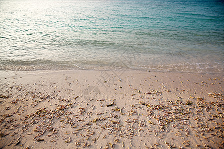 马尔代夫海景背景图片
