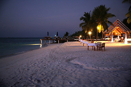 椰子树海滩旅游摄影照亮马尔代夫海景风光背景