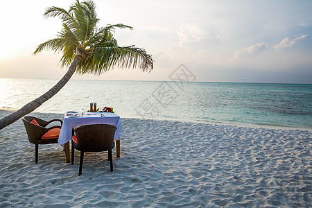 棕榈树岛美景马尔代夫海景风光图片