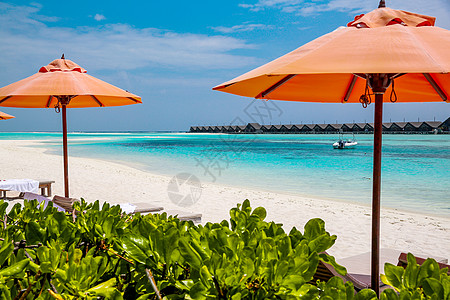 躺椅自然水平构图马尔代夫海景风光背景图片