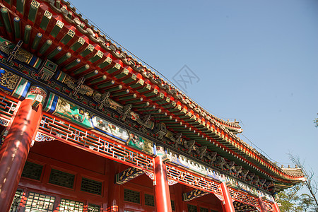 名胜古迹文化北京圆明园公园图片