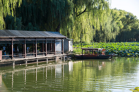 树历史亚洲北京圆明园图片