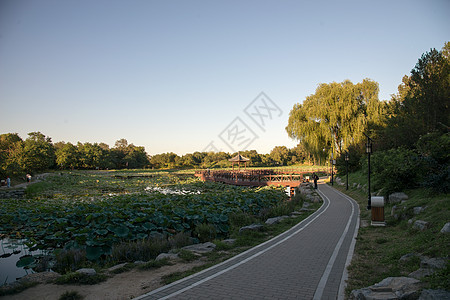 首都远古的旅游目的地北京圆明园图片