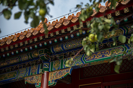 北京故宫的各个角落图片