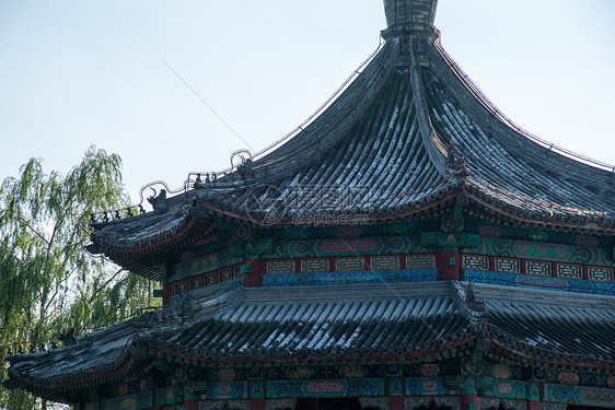 大城市树皇室北京颐和园图片
