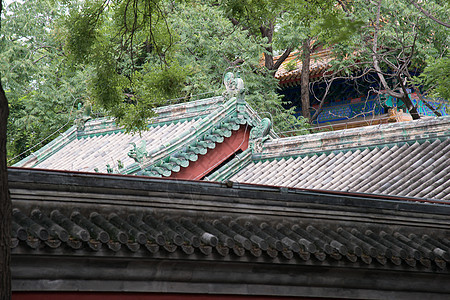 保护东亚无人北京雍和宫图片