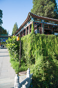 旅游目的地建筑特色古典风格北京北海公园图片