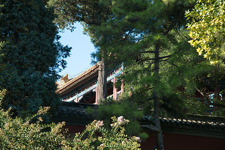 建筑传统文化古典风格北京北海公园图片