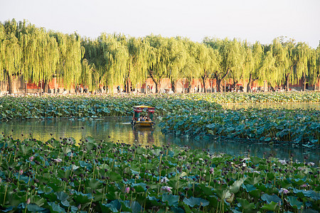 北京北海公园图片