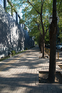 植物城市建筑外部北京三里屯街景背景图片