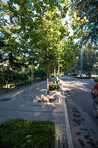 办公大楼植物繁荣北京三里屯街景图片