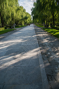 古代动物绿色北京十三陵背景图片