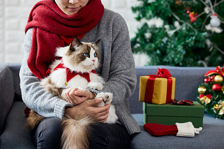 女主人抱着猫咪过圣诞高清图片