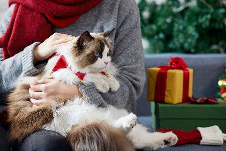圣诞节礼物盒女性抱着猫咪过圣诞背景