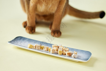 可爱猫咪吃零食特写高清图片