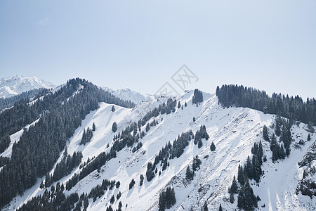 窗外大雪冬日新疆伊宁5A景区那拉提草原雪山背景