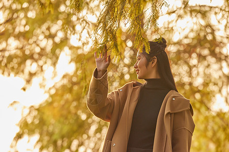 秋季黄昏美女郊游看风景高清图片