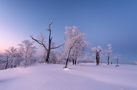 张家界冬天冬天雾凇雪景风光背景