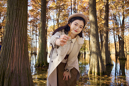 郊外景色清纯美女秋季户外形象背景