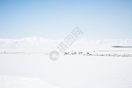 冬天新疆5A景区赛里木湖图片