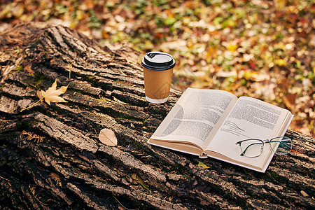 秋天树木树干上的书籍咖啡与眼镜背景
