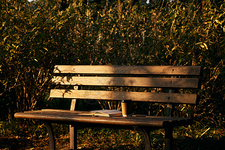 夕阳下公园里的长椅高清图片