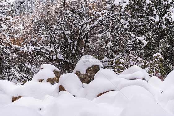 四川毕棚沟冬季雪景图片