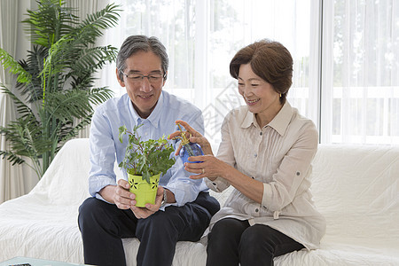 客厅沙发上的中老年夫妻照顾植物图片