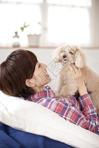 沙发上抱着宠物贵宾犬玩耍的女主人背景图片