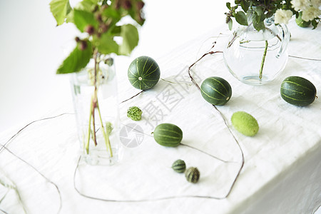 桌上的西瓜装饰图片