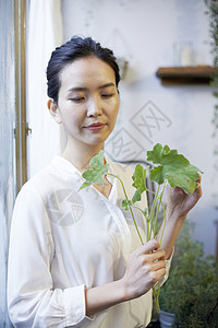 手拿绿植的花店美女图片