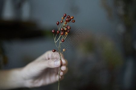 手拿一只花的特写图片