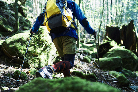 森林中徒步旅行的男人图片