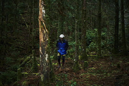 丛林冒险探索自然的背包客图片