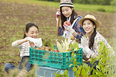 女性工作农场菜园劳作的女孩们背景