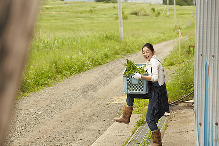 农场农民美女收获新鲜蔬菜图片