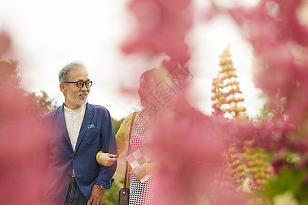 中年夫妇在花田里看风景图片