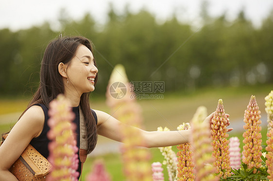长发摄影女孩触摸花卉图片