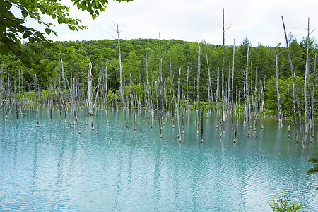 风景名胜水湖蓝塘图片