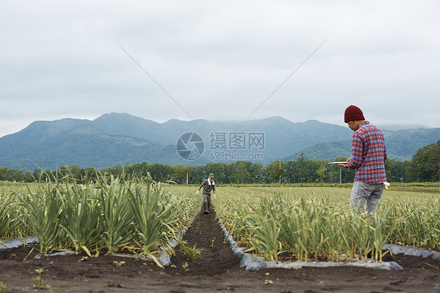 家庭父子在田间工作场景图片