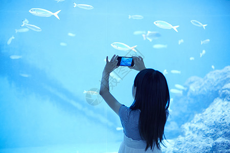 女孩用手机在水族馆拍照高清图片