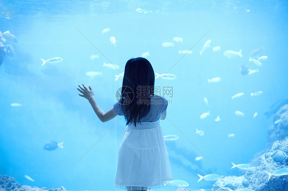 女孩在水族馆观光图片