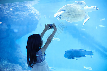 苏眉鱼女孩在水族馆观光背景