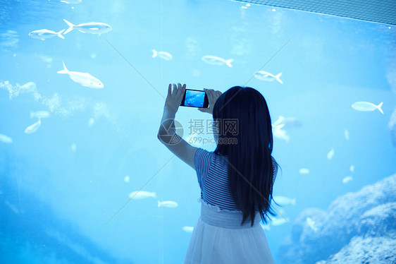 海洋水族馆拍照的小女孩图片