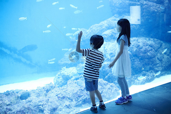 海洋水族馆玩耍的姐弟图片