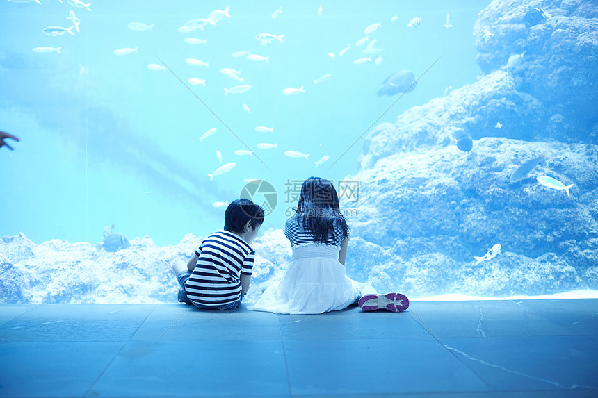 水族馆看鱼的姐弟图片