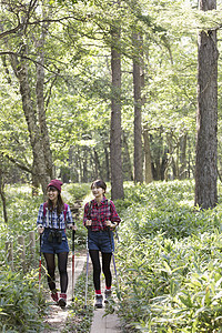 森林中徒步旅行的两名女性图片