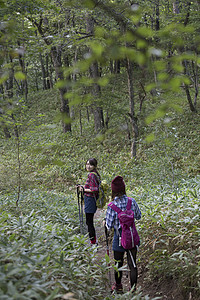 亲密朋友活力青春女人徒步旅行高清图片