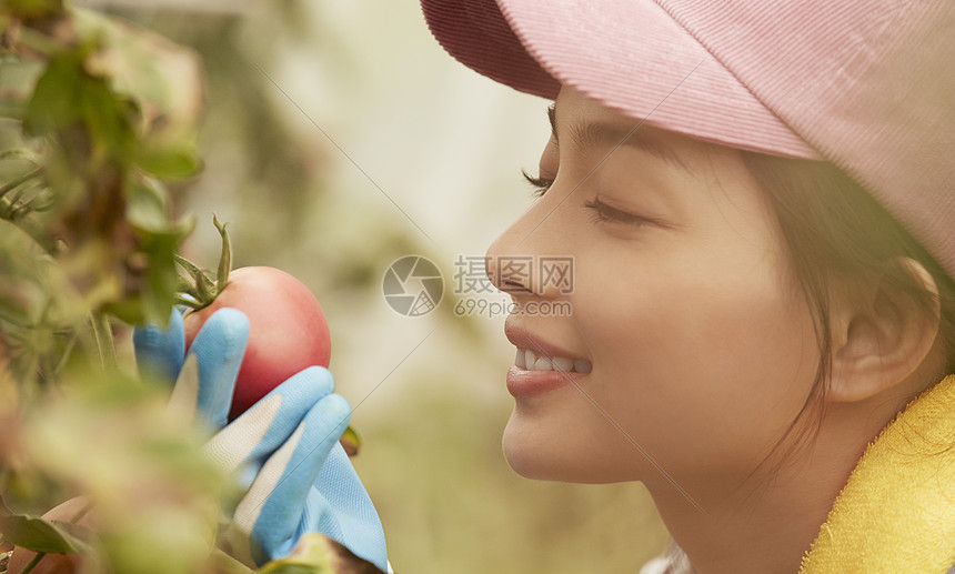 高清照片下载,该高清照片标题为在田地里劳动的妇女,编号:502050153