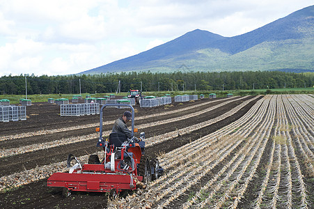 日本人农场设备非都会区农业形象收获蔬菜图片